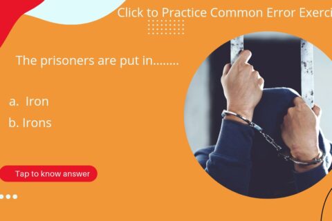 Noun Error Practice Set PDF for bank Exam | Grammar Practices